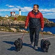 shih-tzu-