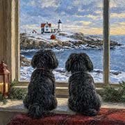 shih-tzu-